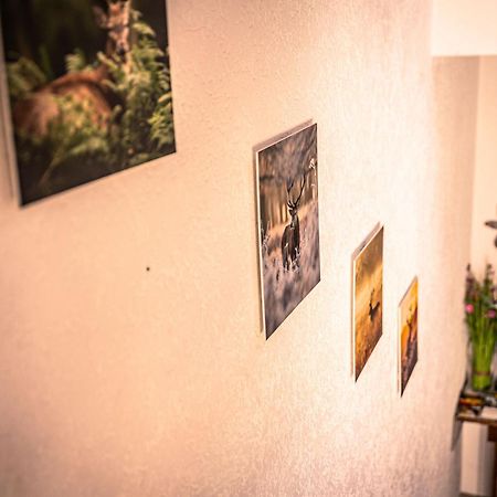 Gasthof Schneiderwirt, Kipfenberg Ot Hirnstetten Dış mekan fotoğraf